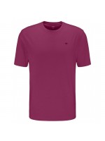 FYNCH HATTON ΜΠΛΟΥΖΑ ΜΠΟΡΝΤΩ